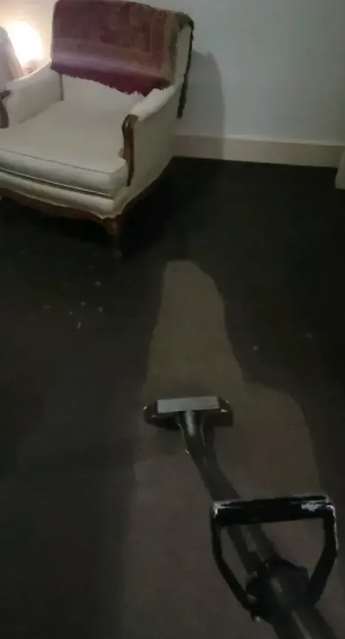 An extraction wand drawing water out of soaked carpet during water removal